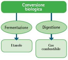 schema_conv_biologica