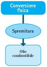 schema_conv_fisica